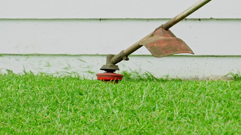 Organic Lawn Care Solutions in Glenwood Landing, NY
