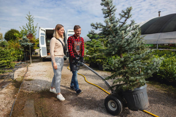How Our Tree Care Process Works  in  Glenwood Landing, NY